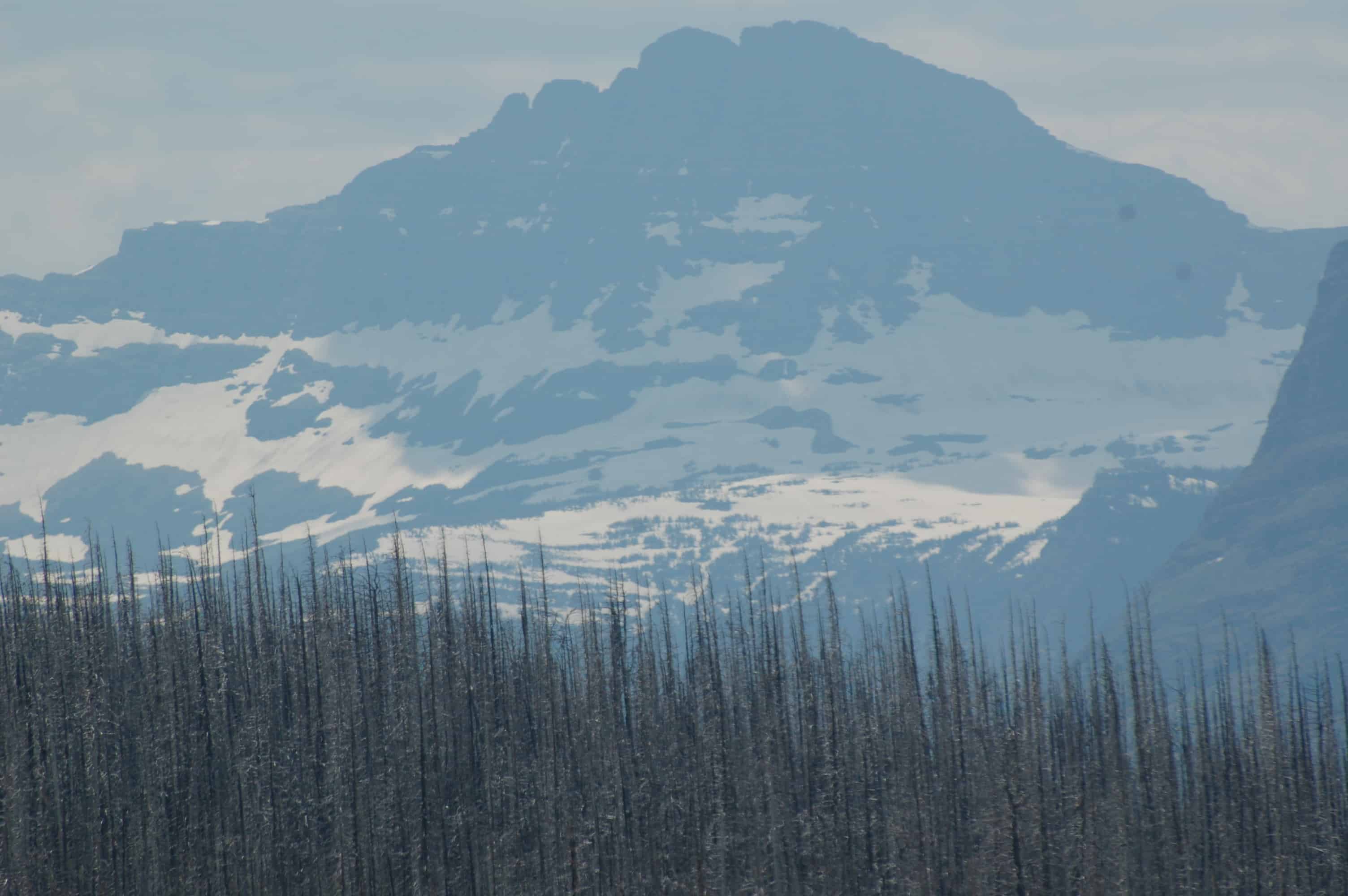 Montana