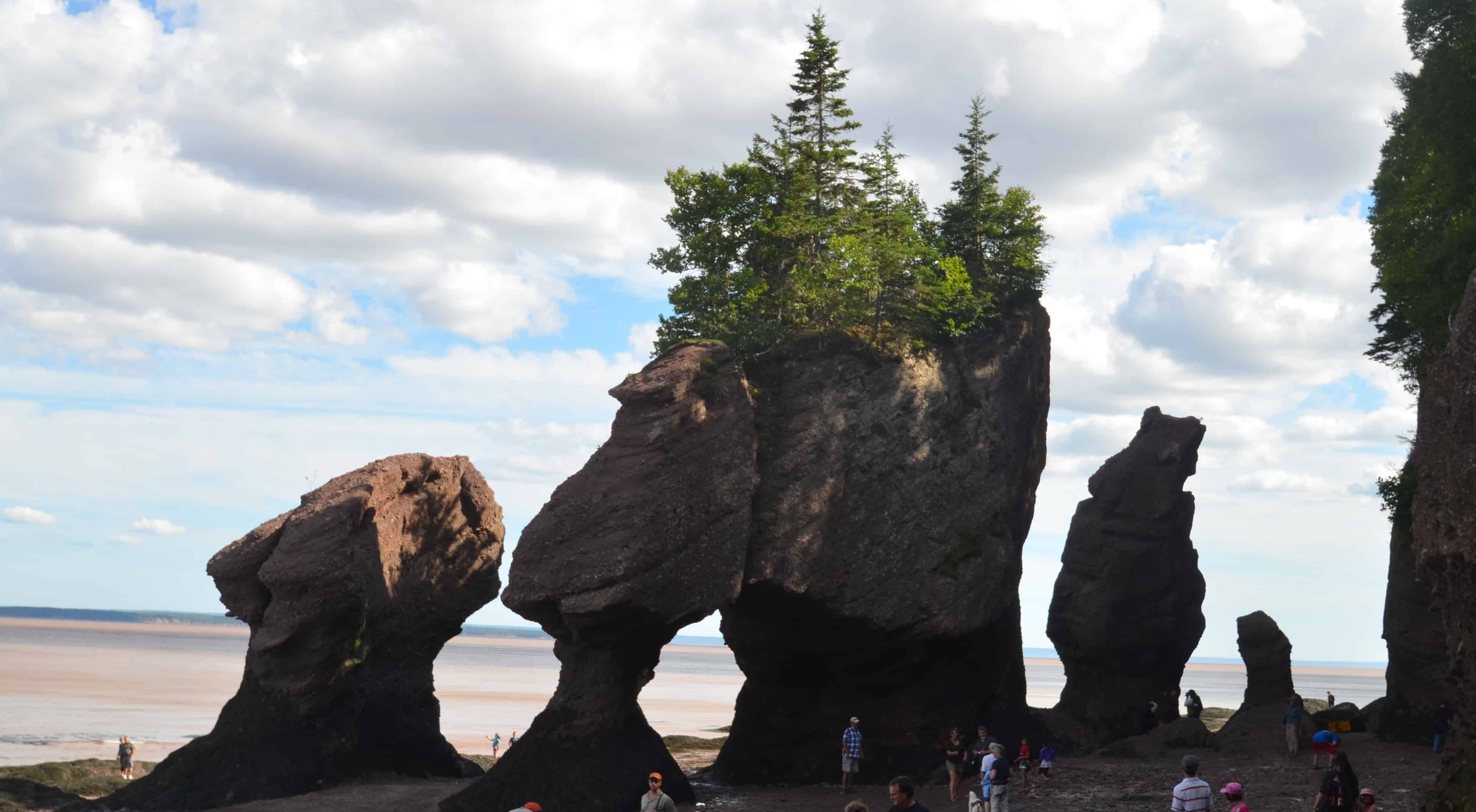 The Hopewell Rocks at low tide, New Brunswick, the Bay of Fundy's signature flowerpot formations