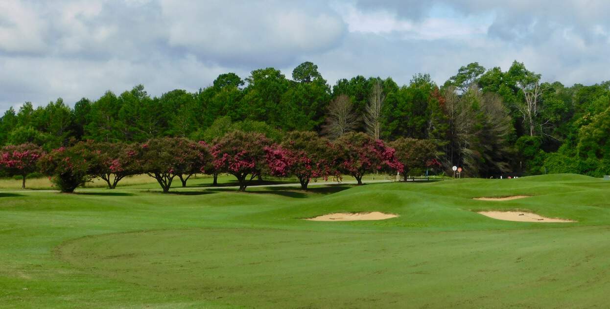 A hole lined with flowers at Georgia Veterans State Park